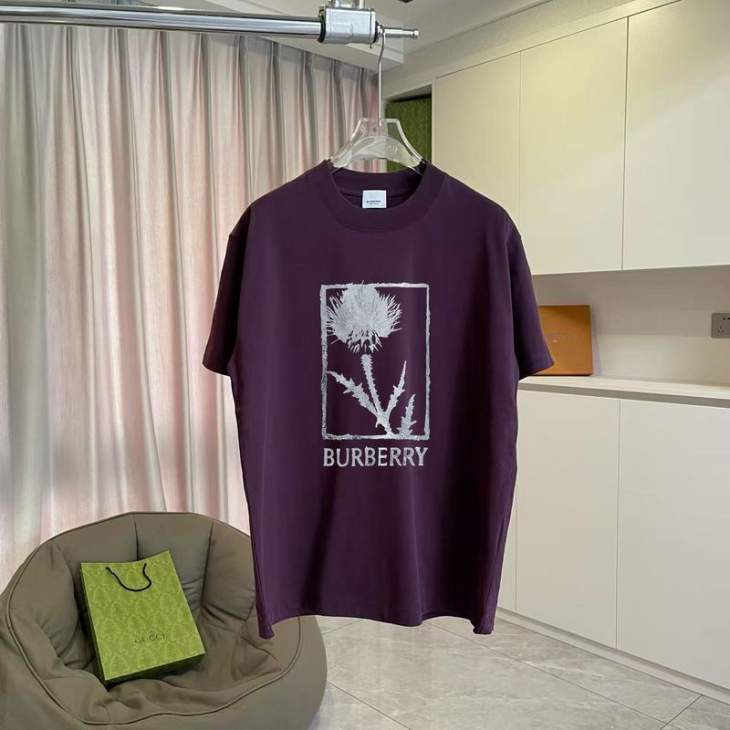 Picture of Burberry T Shirts Short _SKUBurberryS-2XLhgntx6419821